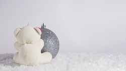 Bear sitting on gift box