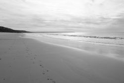 Footprints on an empty beach