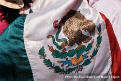 Mexico City, Mexico - February 26th, 2022: Close up of bird with snake on Mexican flag 4NgOAb