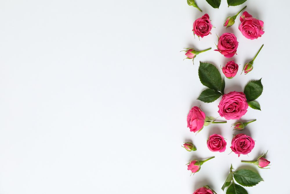 Flat lay composition with roses and petals on light background, space for text