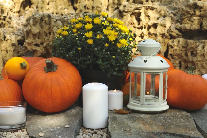 Cozy autumn concept with pumpkins outdoor in the park