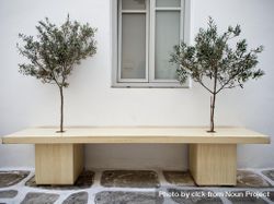Wooden bench with two small trees 5RmnD0