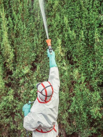 Fumigator in uniform spraying substance on garden