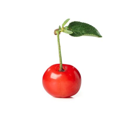 Fresh red cherry isolated on neutral background
