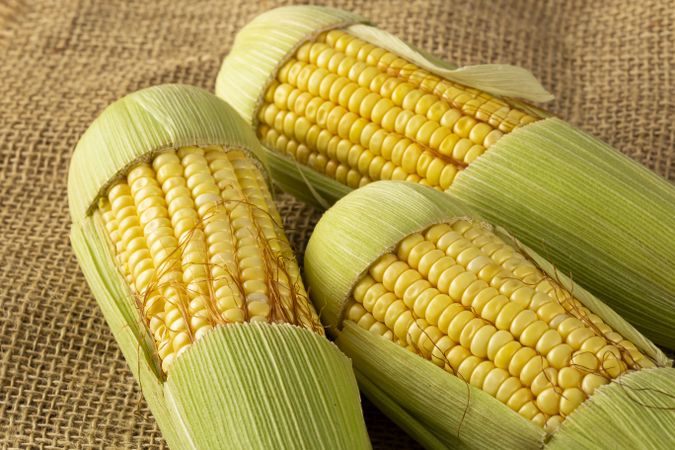 Green corn on the wooden table.