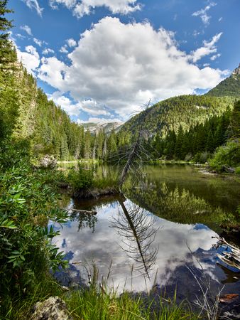 Reflective lake in lush, forested Colorado mountains
