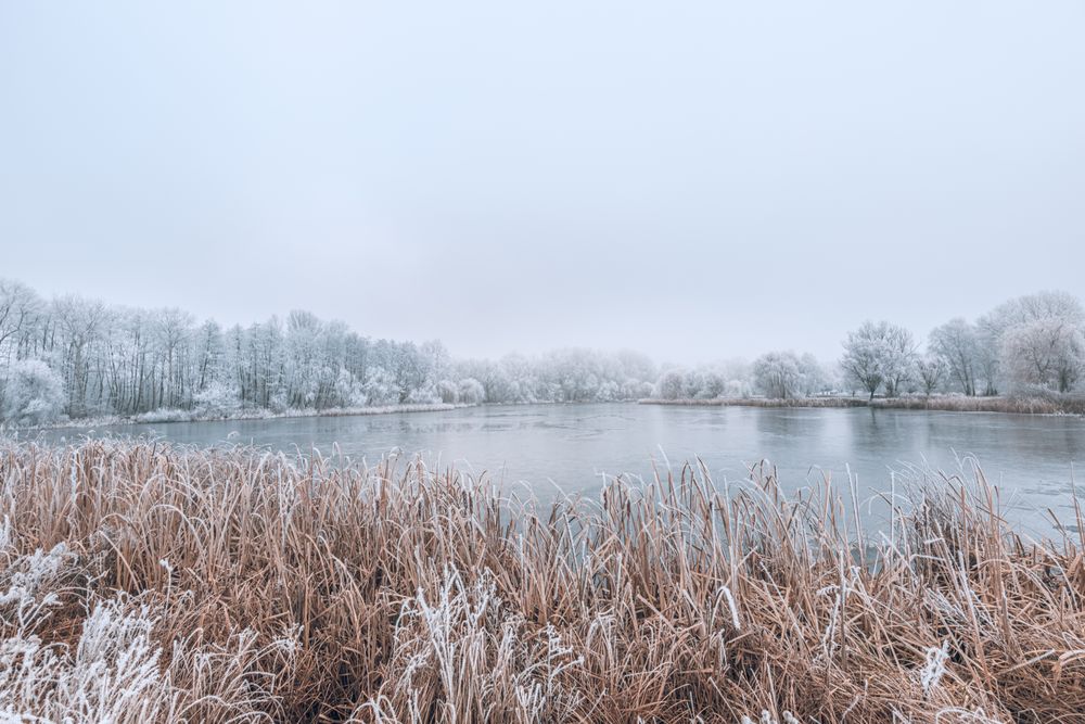 Cold day at the lake with frosted grass in the foreground