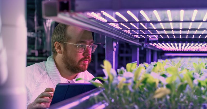 Hydroponics Engineer Inspecting and Analyzing Crops Growing Potential Before Selling. Portrait of Vertical Farm Technical Specialist Working in a Facility with Ultraviolet LED Lights