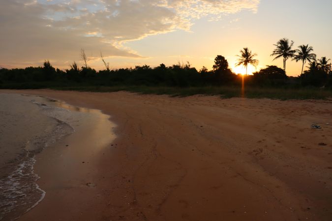 Sandy beach near palm trees at sunset