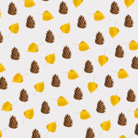 Pattern of yellow fall leaf and pinecone