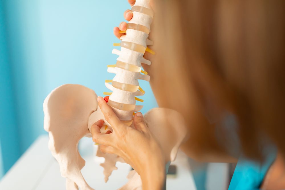 A physiotherapist explains a low back pain problem using an anatomical skeleton, pointing to the hip area