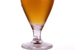 Glass of tasty light beer
