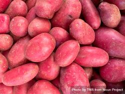 Red potatoes for sale in market bE9RvG