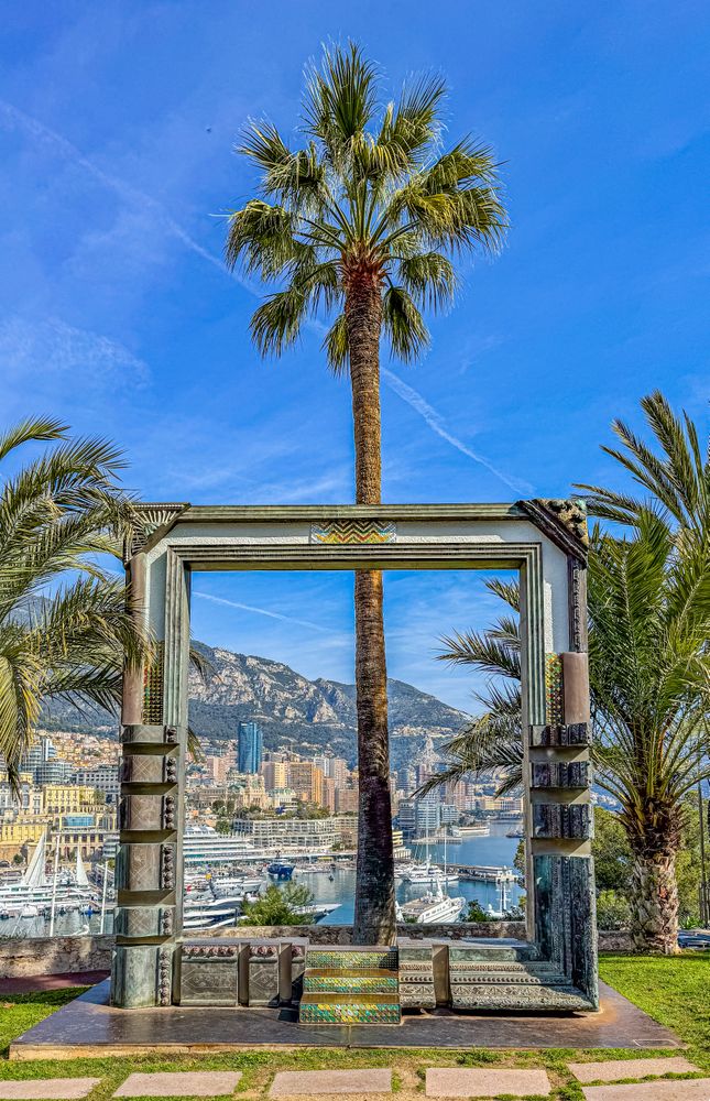 Out of frame palm tree