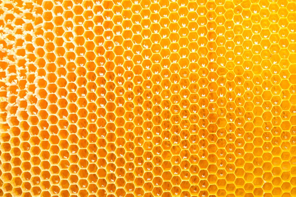 Honeycombs with sweet golden honey on whole background, close up