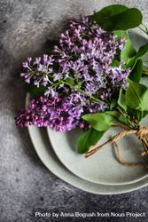Top view of spring table setting with lilac flowers beX38p