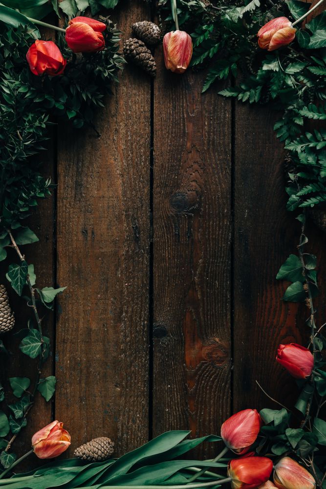 Border of tulips on wooden background