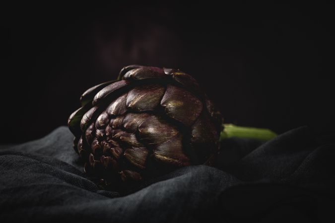 Fresh raw purple artichokes on dark background.