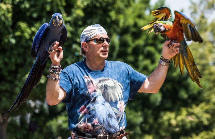 A man with two parrots entertains in the Fred Meyer Junior Parade, Portland, Oregon