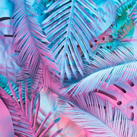 Tropical and palm leaves in vibrant bold gradient holographic colors