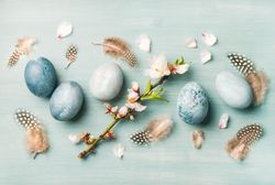Spring greeting card concept