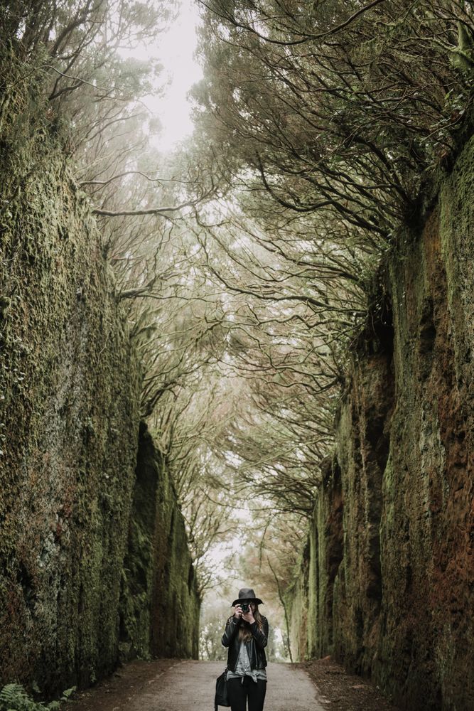 Young stylish woman taking photo on camera on way between high walls and trees
