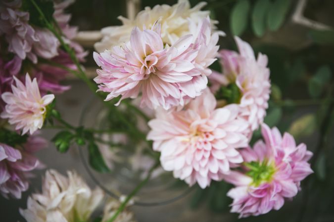 Bunch of flowers in vase on table