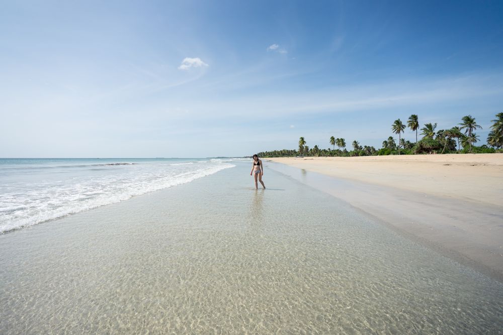 Young woman in water on sand beach with tropical forest