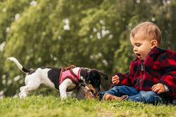 cute baby playing with a dog in a park