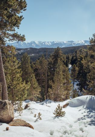 Picturesque view of peaks of mountains in snow and forest