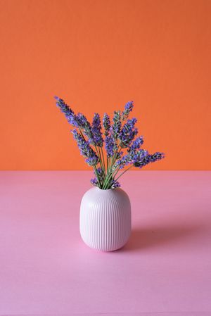 Vase of lavender flower in a pink and orange background