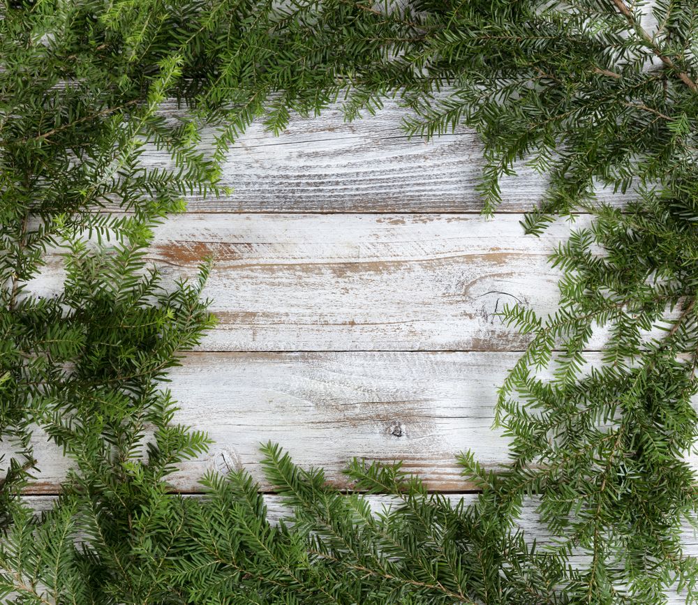 Real fir wreath with on rustic wood background for the Christmas or New Year holiday