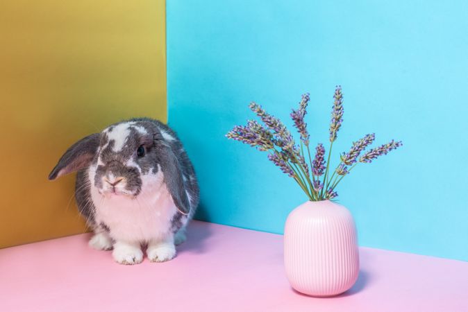 Bunny with lavender vase