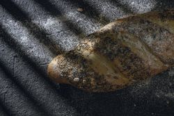 Loaf of bread with grains and poppy seeds