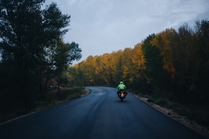 Motorcycle on road surrounded by autumnal trees