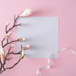 Flowers on brown branch on pastel pink background with paper card
