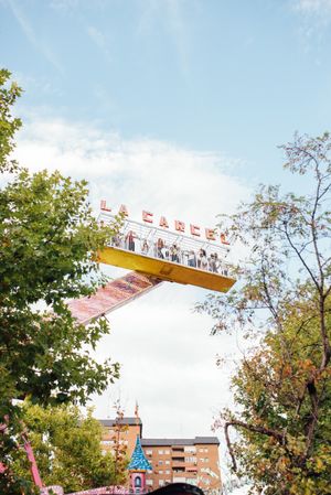 Amusement ride amidst trees in park