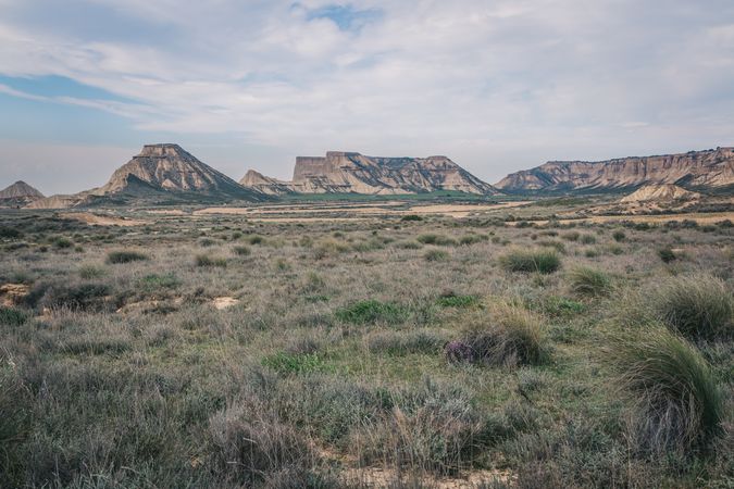 Desert hilly landscape with dry green vegetation