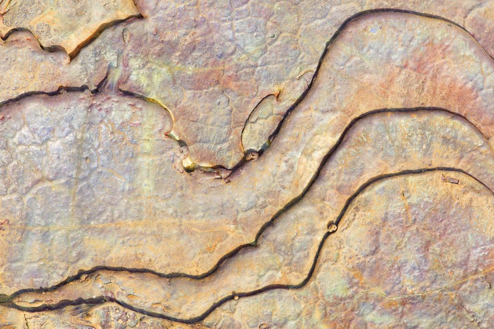 Surface of river soil with minerals
