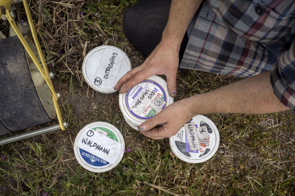 Hands organizing containers of seeds in field
