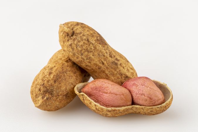 Dry peanut on the white background.