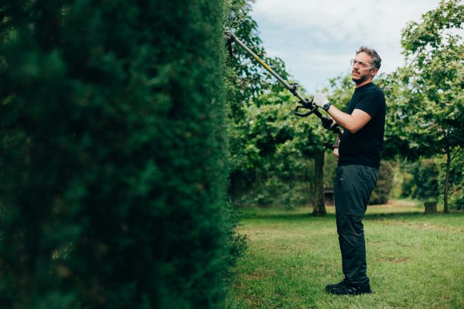 Man pruning arizonica hedge