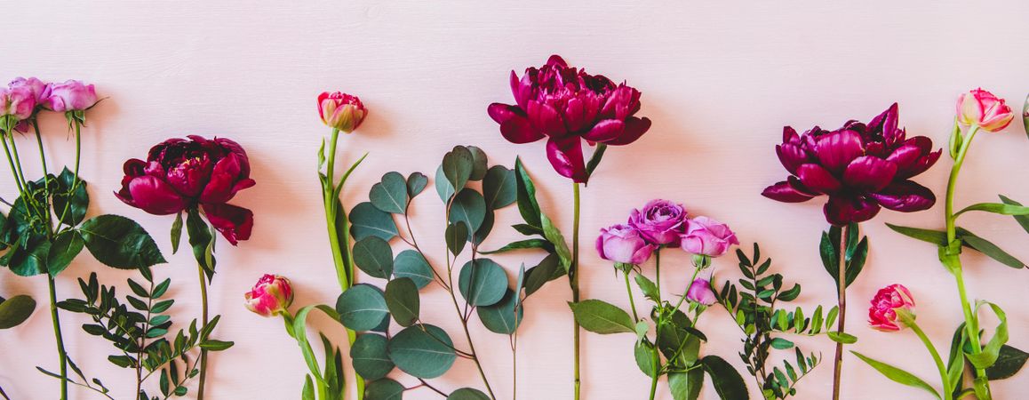 Various sorted summer flowers flat-lay, wide composition