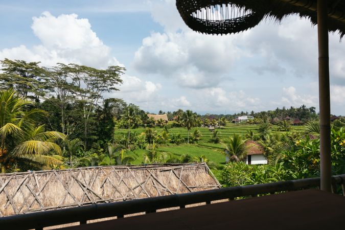 Landscape of rice fields in Southeast Asia