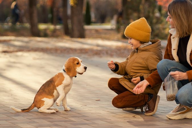 Family walks the dog