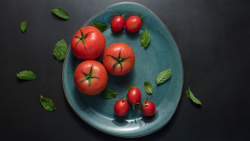 Ripe tomatoes and mint leaves in a plate