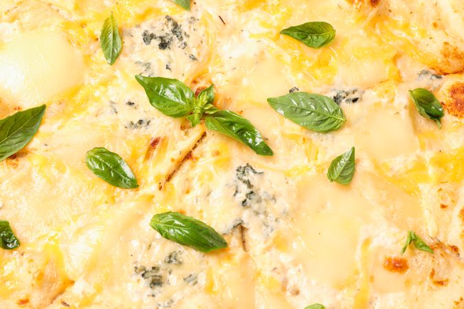 Tasty cheese pizza with basil on whole background, closeup