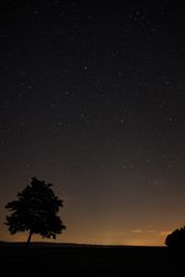 Field with trees on dark starry night