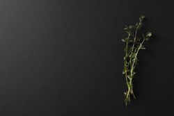 Top view of sprig of thyme