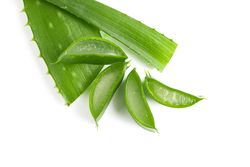Aloe vera slices isolated on blank background. Herbal medicine
